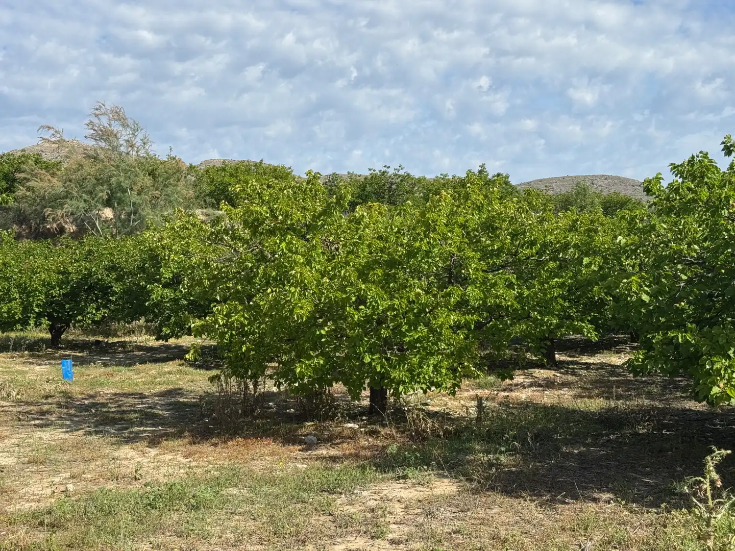 Terreno rustico in vendita a Calle 7.Canara 76, imagen 26