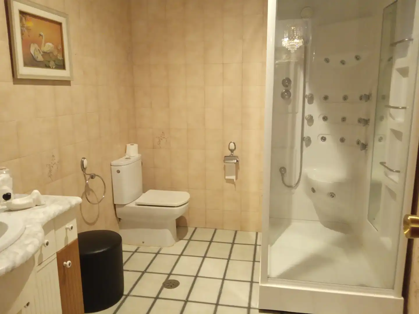 Baño de Piso en venta en Ribadavia con Calefacción, Amueblado y Balcón
