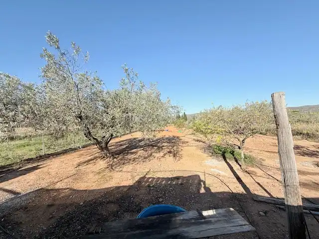 Finca rústica en venda en Cabanes amb Jardí privat, Terrassa i Piscina