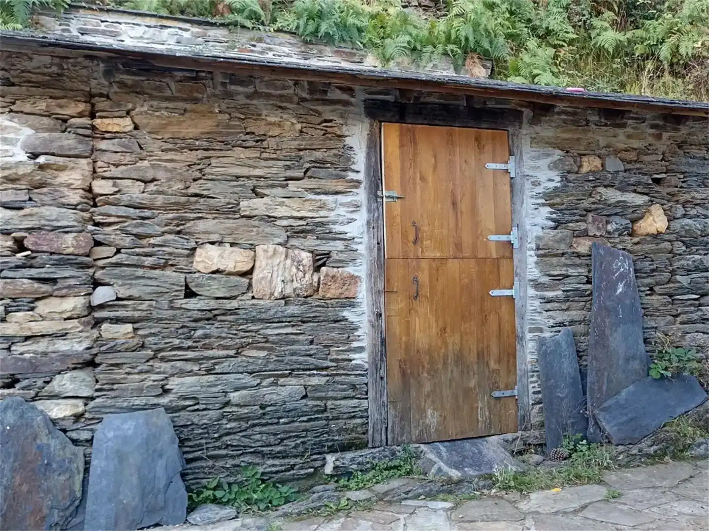 Vista exterior de Casa o xalet en venda en Santa Eulalia de Oscos