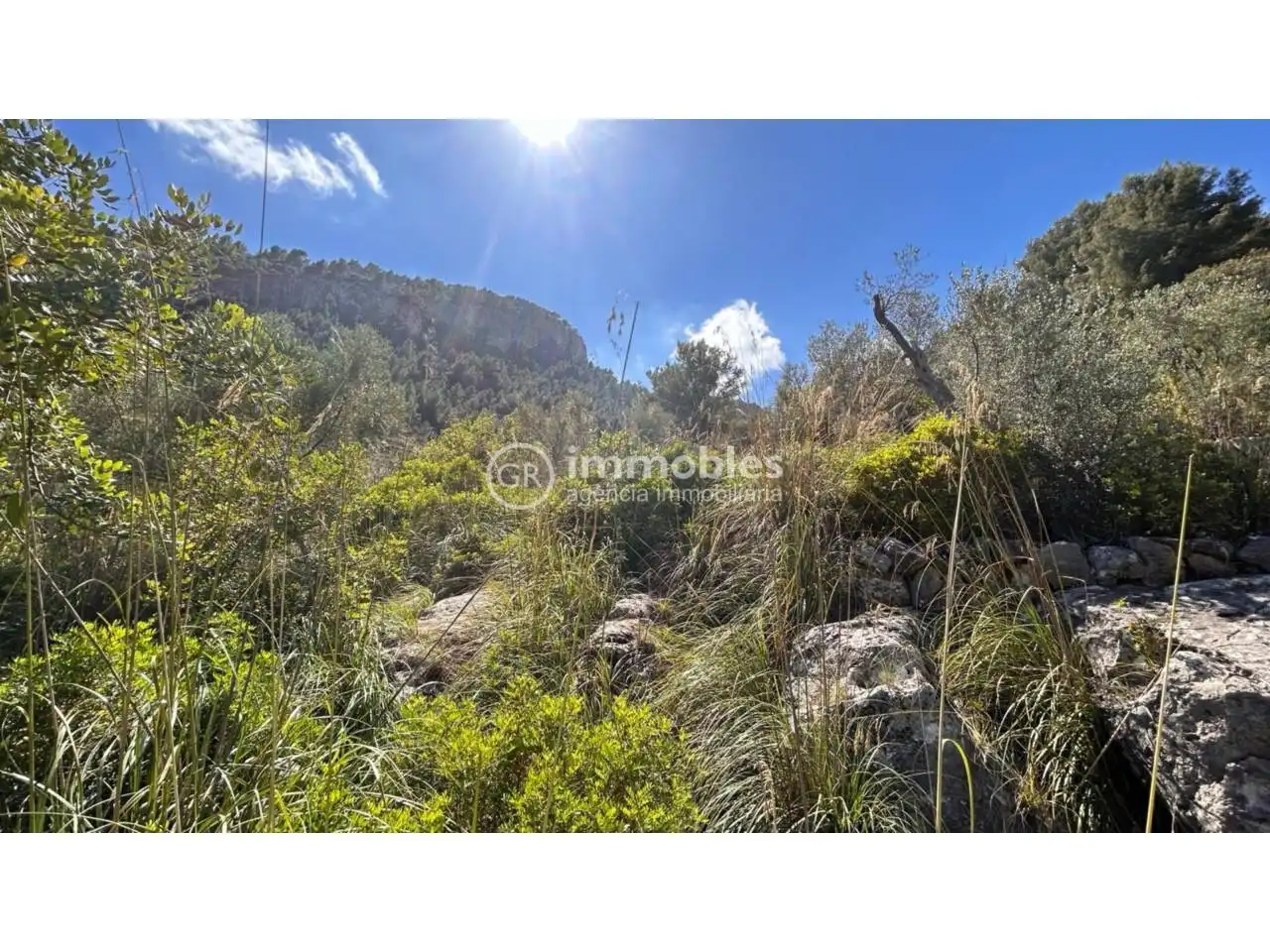 Country homes for sale in Alaró