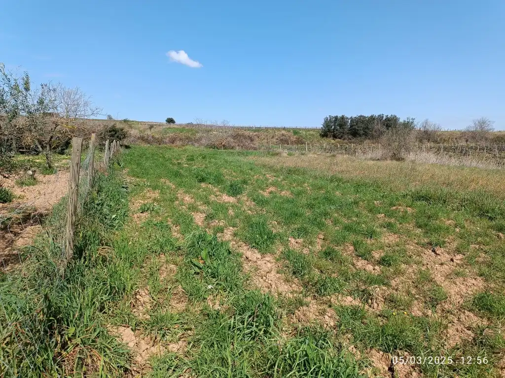 Rustikales Grundstück zum Verkauf in Sant Julià, imagen 5