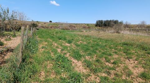 Foto 5 de Terreno en venta en Sant Julià, Vilafranca del Penedès