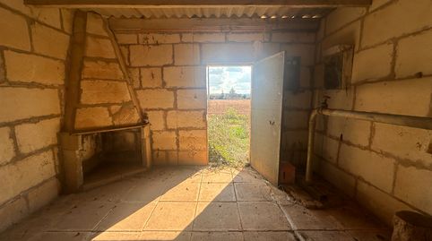 Foto 4 de Terreno en venta en Llubí, Illes Balears