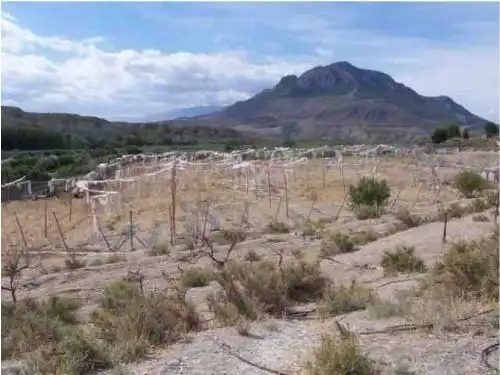 Terreno en venta en Cortes de Baza