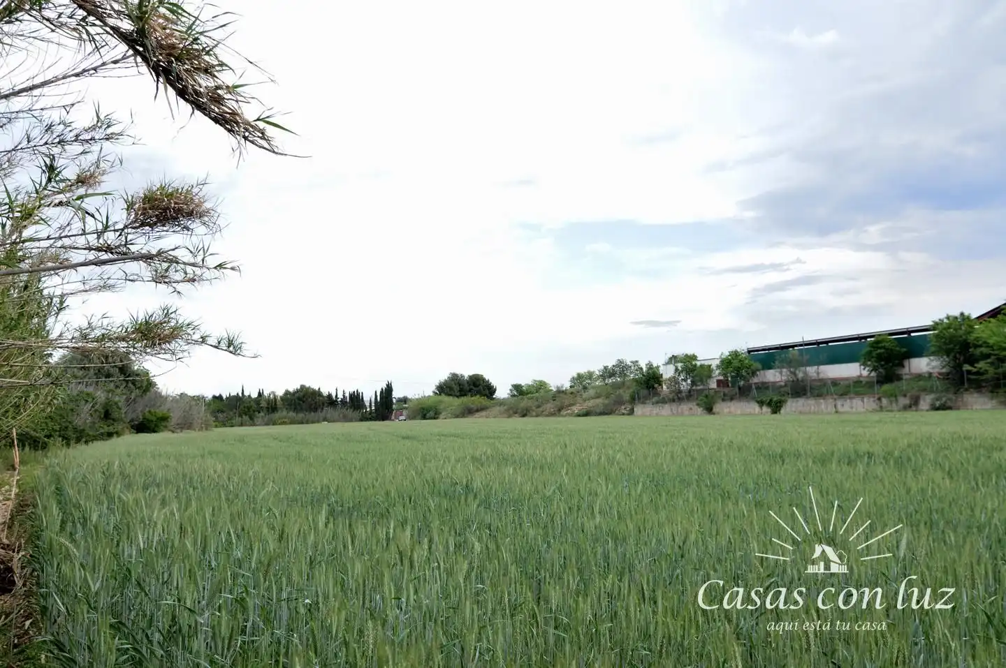 Terreno en venta en Zaragoza