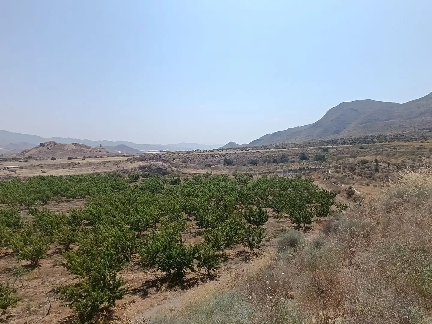 Land for sale in Mazarrón