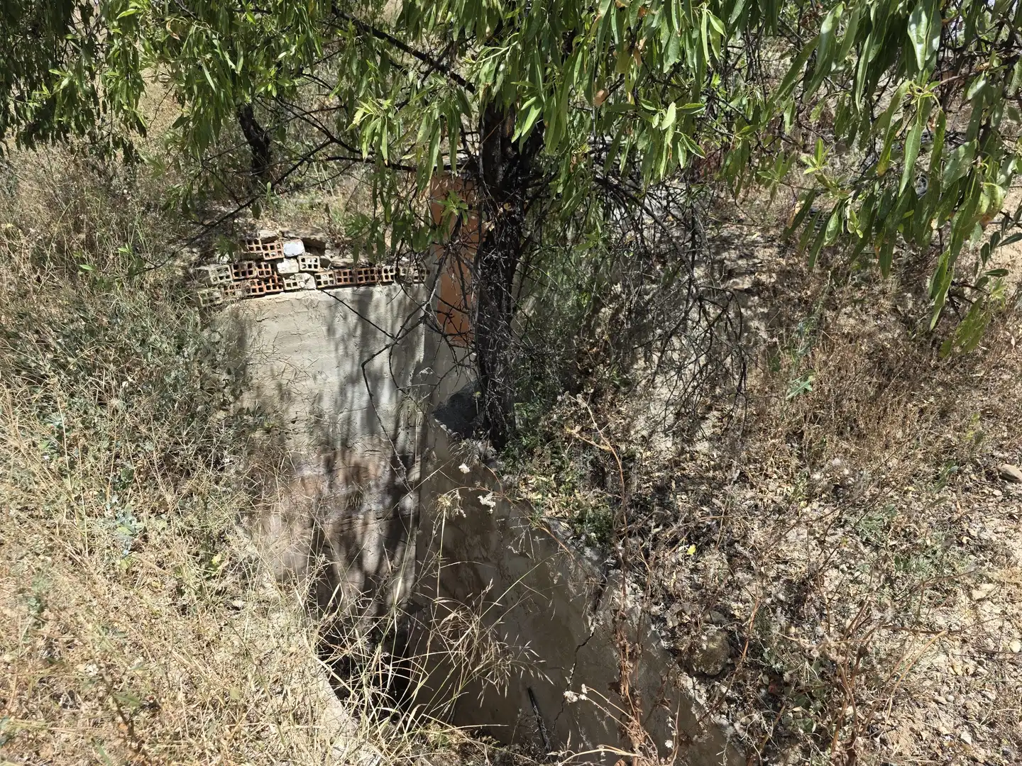 Residential land for sale in Calasparra, imagen 8