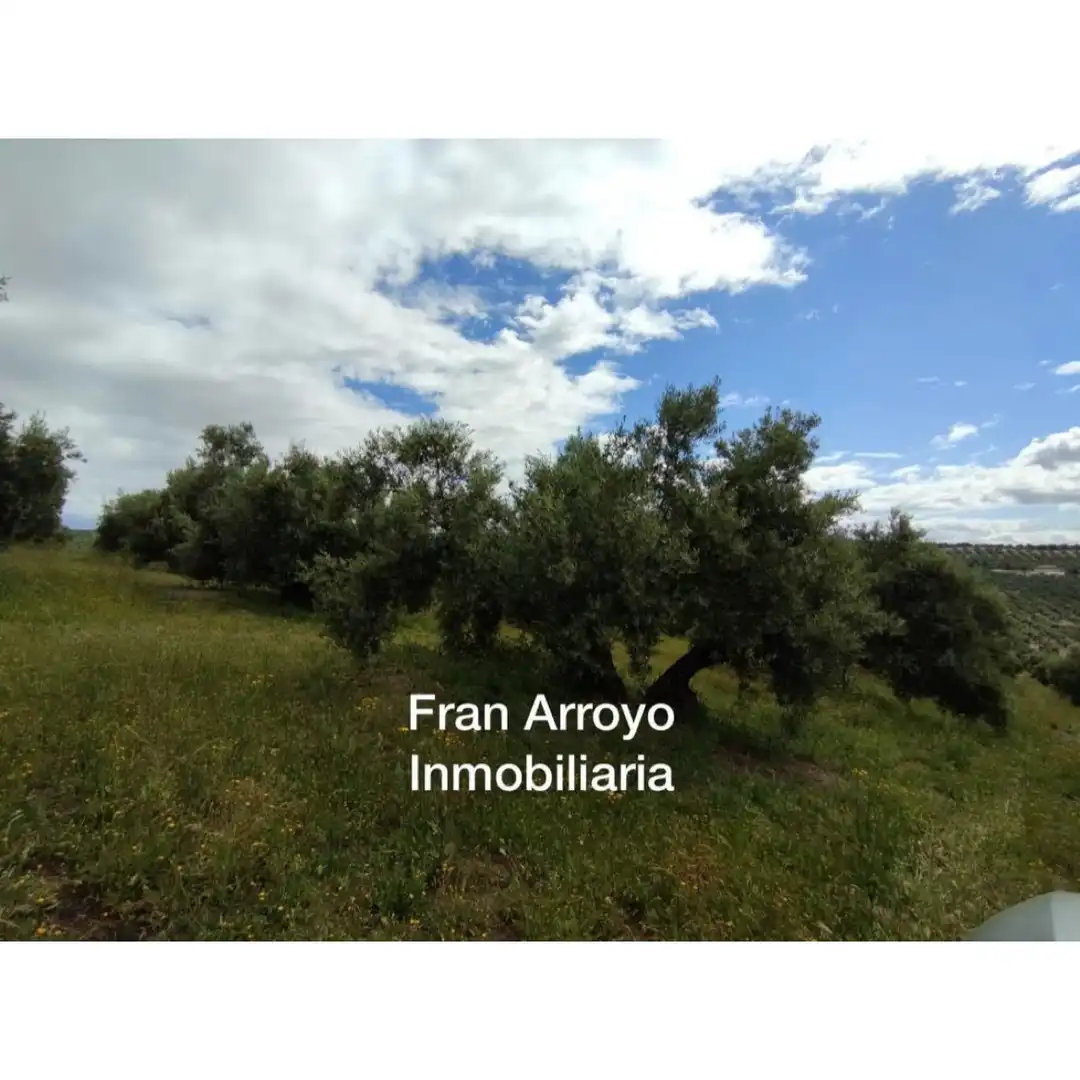 Terrenos y solares en venta en Úbeda, imagen 3