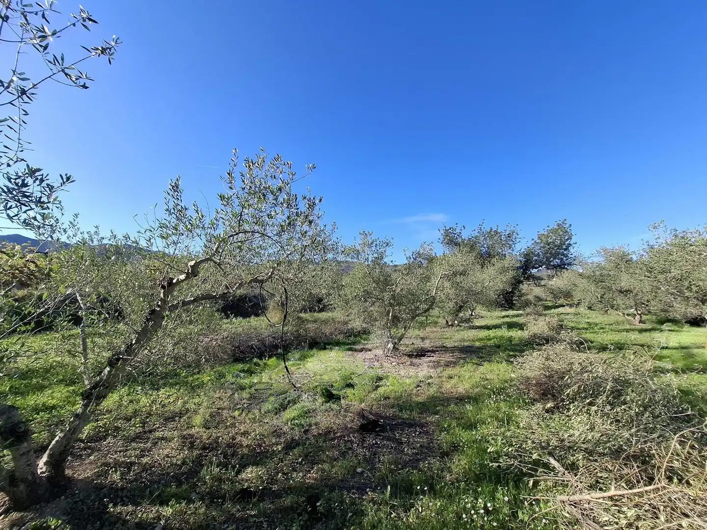 Residential for sale in Aielo de Malferit