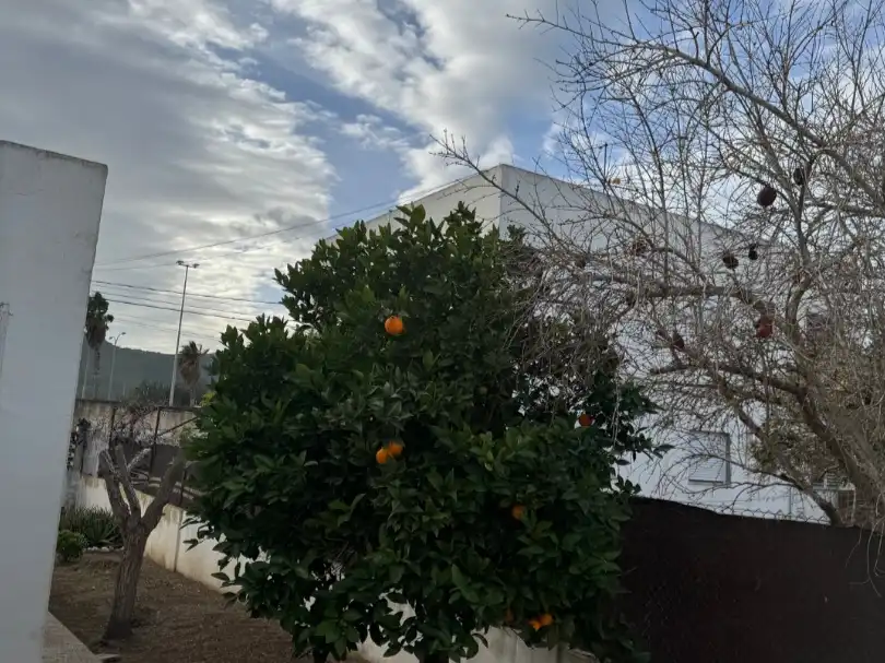 Haus mit Garten zur Miete in Riu Támesis 9, imagen 16