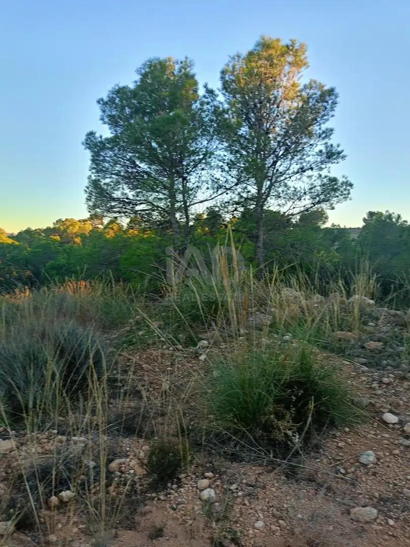 Terreno en venta en Lorca