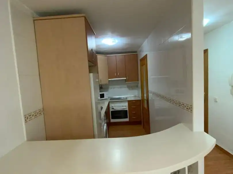 Cocina de Piso en venta en Roquetas de Mar con Amueblado, Horno y Lavadora