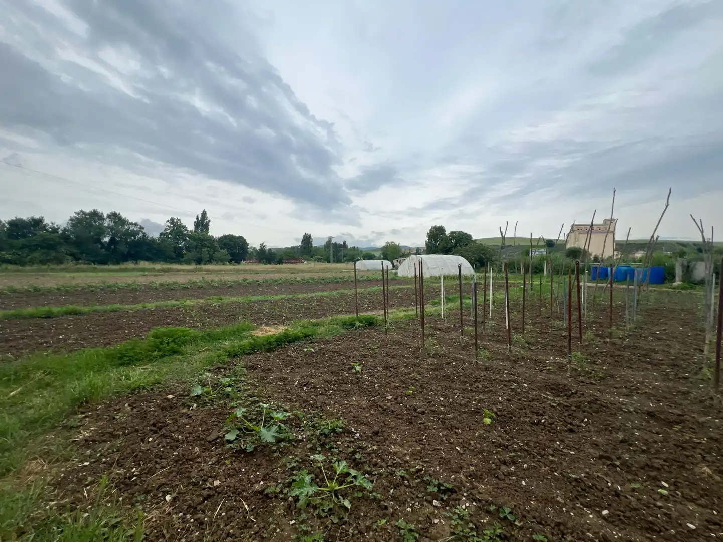 Terreno rústico en venta en Urroz-Villa - Entreaguas, imagen 3