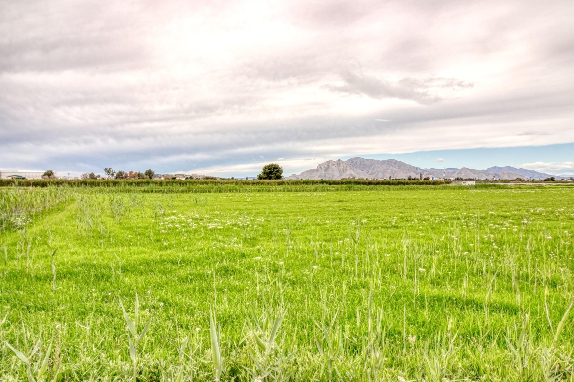 Residencial en venda en San Isidro