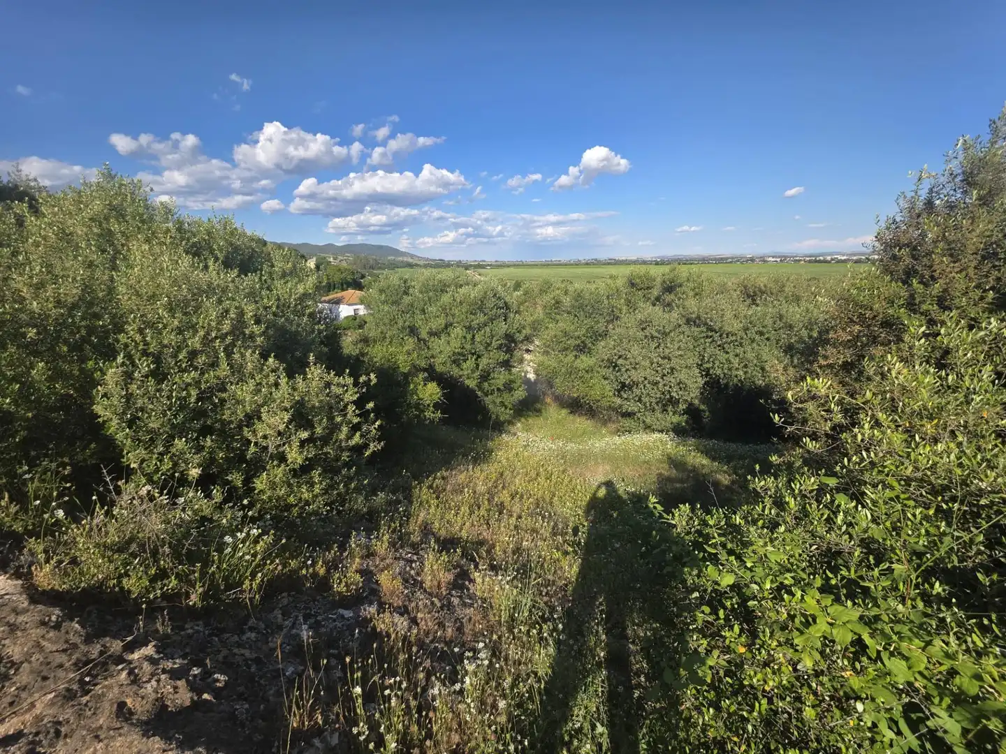Residencial en venda en Almodóvar del Río
