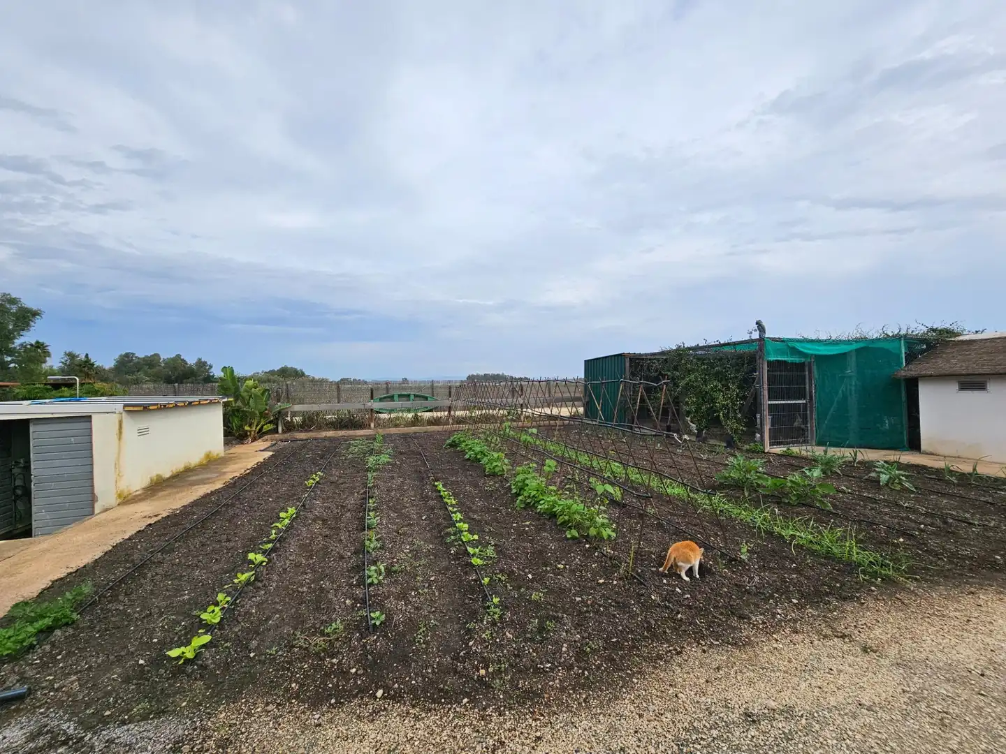 Country homes for sale in Amposta  with Air Conditioner, Private garden and Terrace