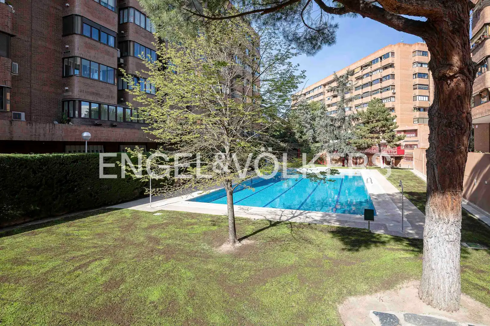 Schwimmbecken von Wohnung zur Miete in Barrio de Salamanca