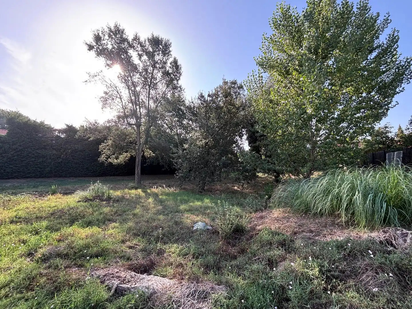 Terreni e lotti in vendita a Caldes de Malavella, imagen 9