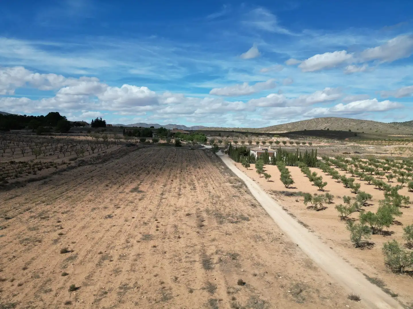 Terreno residencial en venta en El Pinós / Pinoso, imagen 13