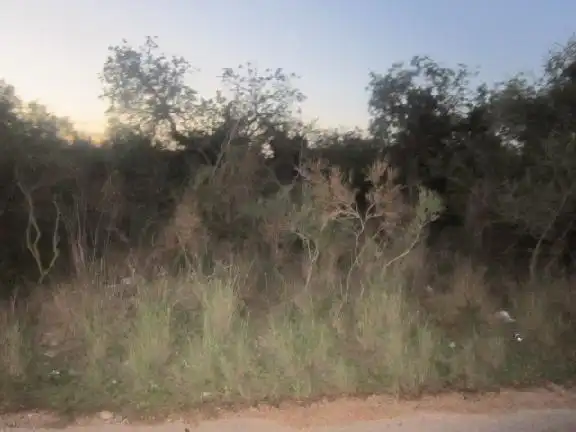 Terreno en venta en Benicarló