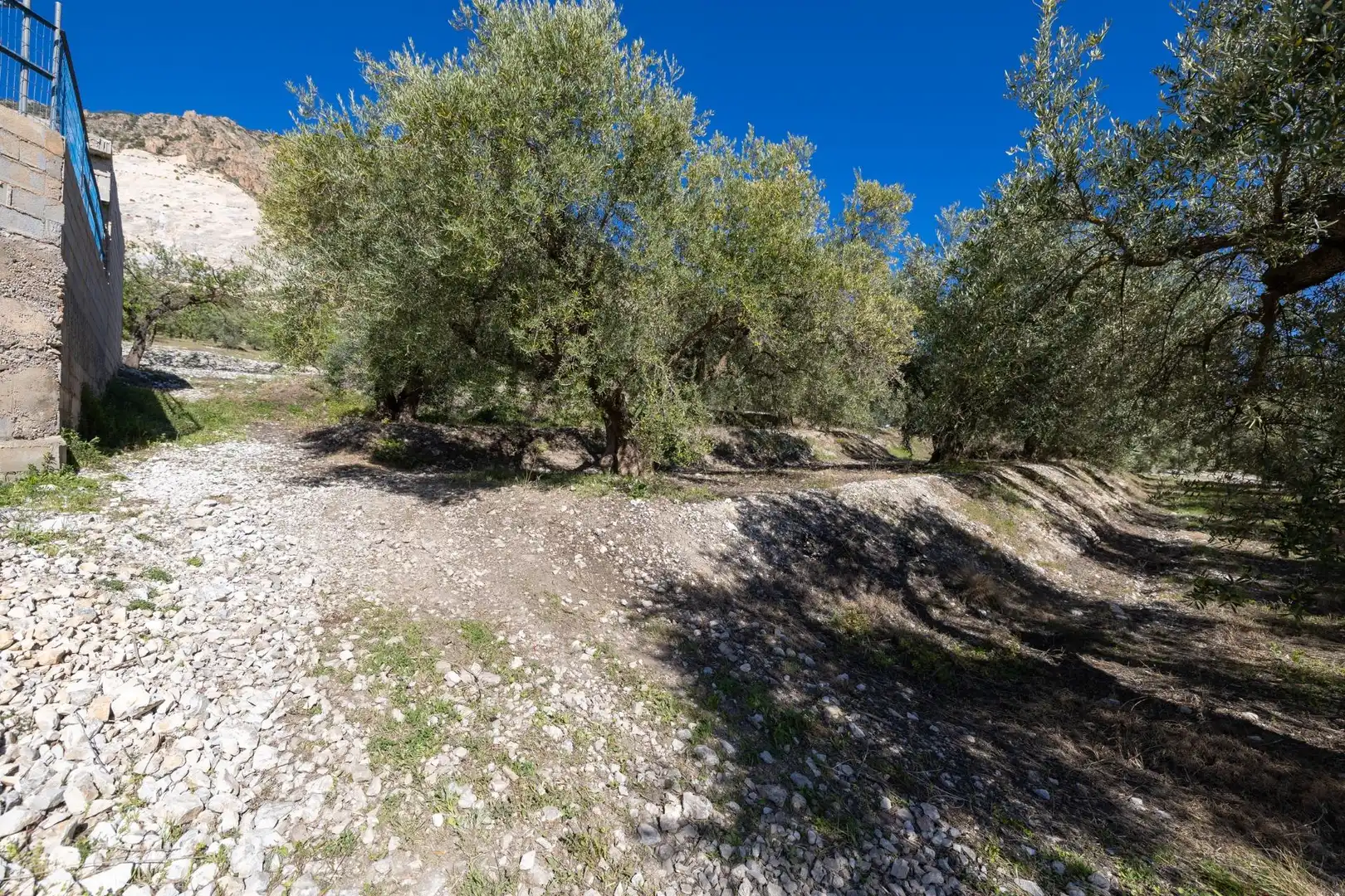 Terreni e lotti in vendita a Dúrcal, imagen 14