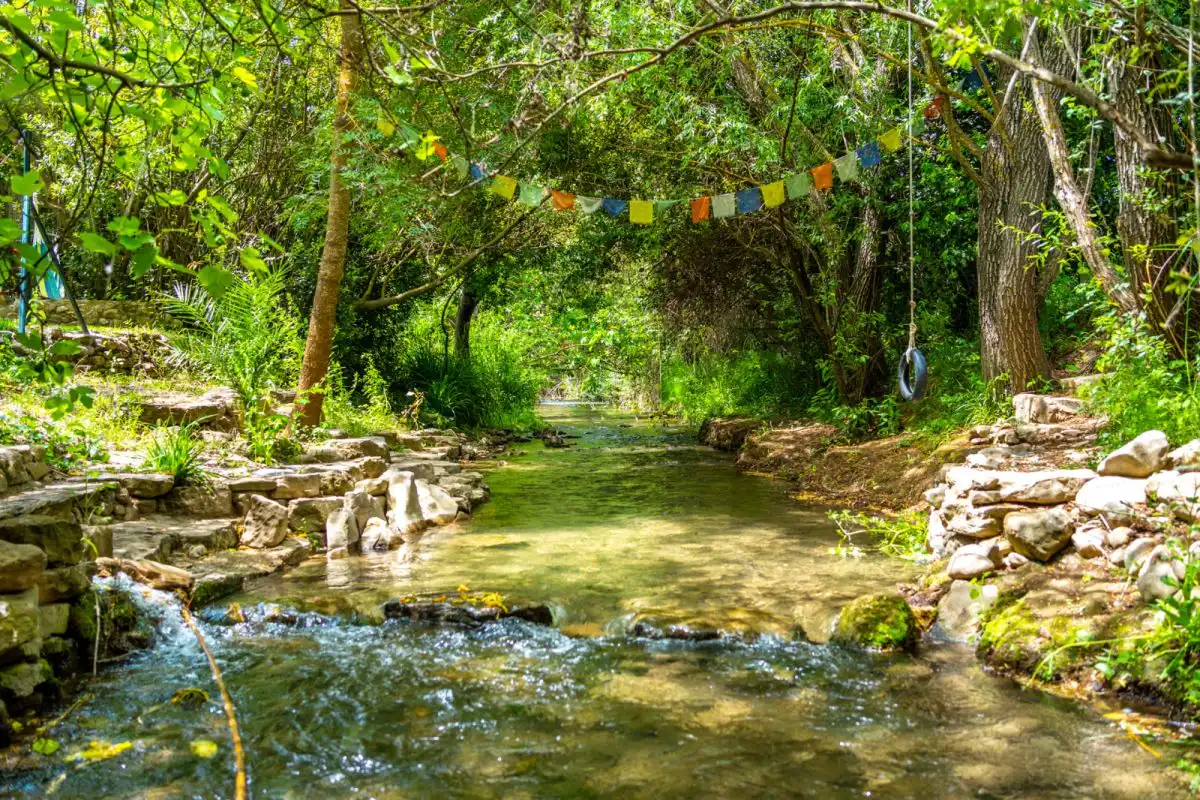 Casa rústica amb piscina en venda a Zahara, imagen 24