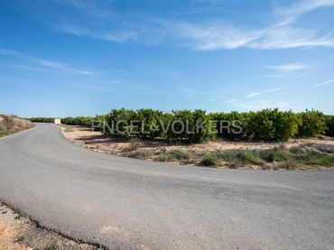Terreni e lotti in vendita a Pedralba