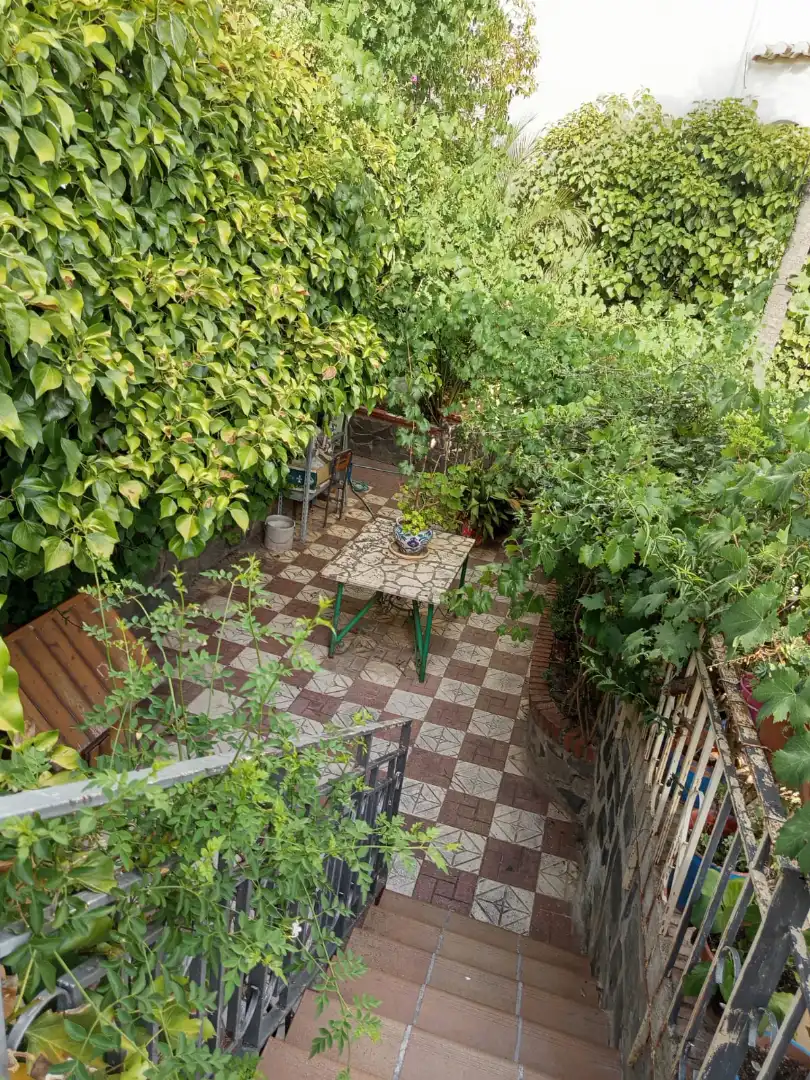 Jardí de Casa o xalet en venda en La Zubia amb Jardí privat i Piscina
