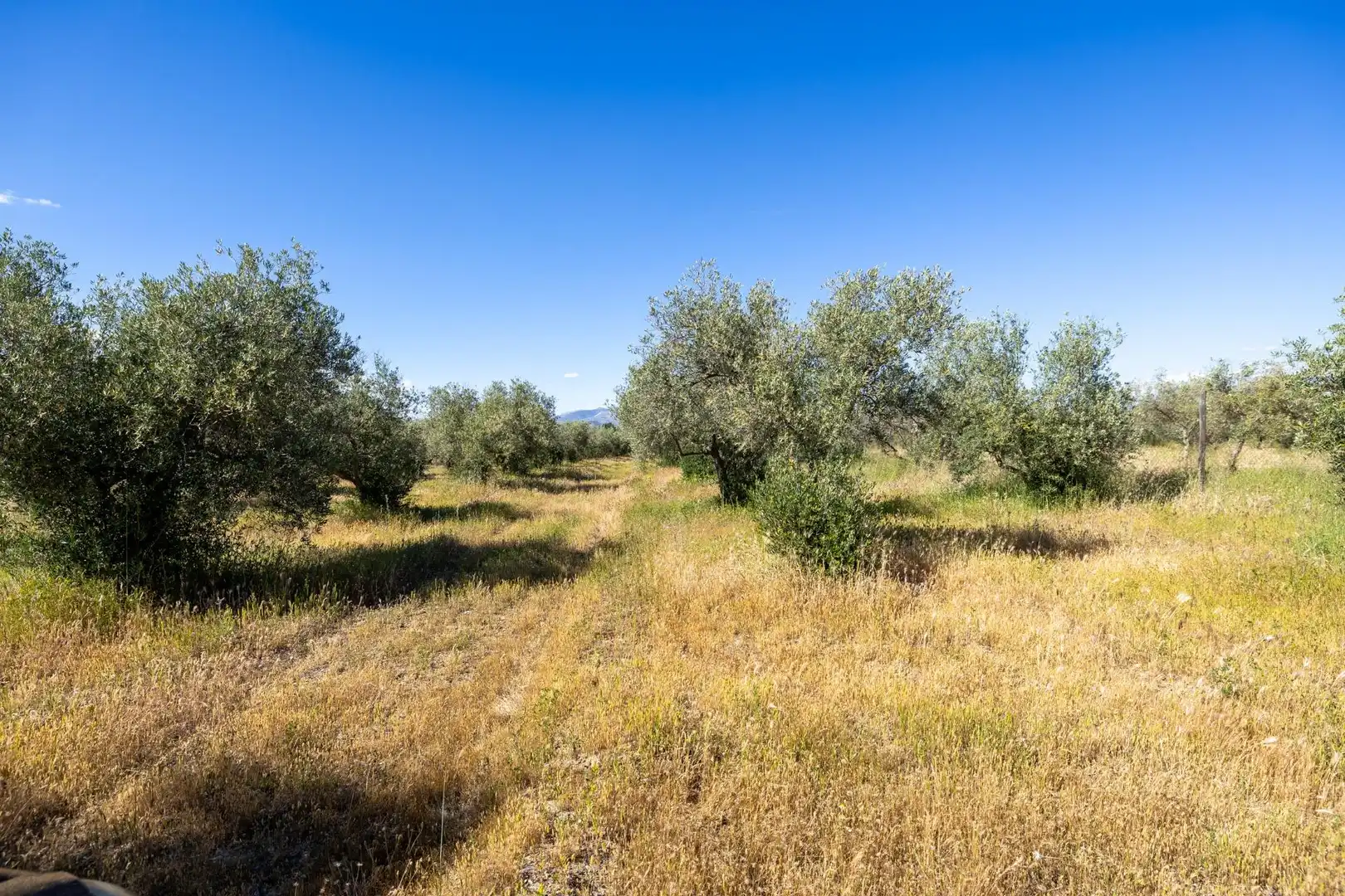 Rural land for sale in Polígono 3 Parcela 220 Arnique, imagen 7