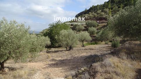 Foto 3 de Casa o chalet en venta en Carrer de Les Escoles, Paüls, Tarragona