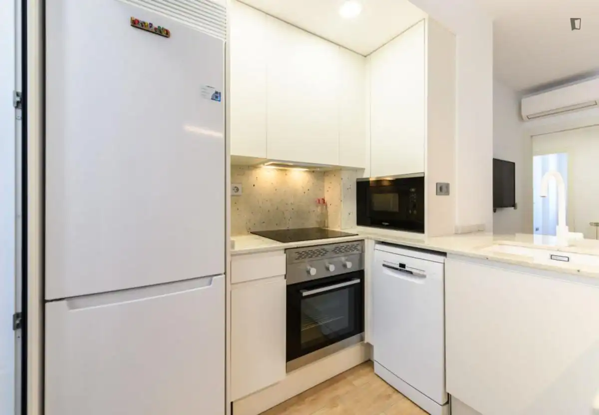 Kitchen of Apartments for rent in Madrid  with Air Conditioner, Heating and Furnished