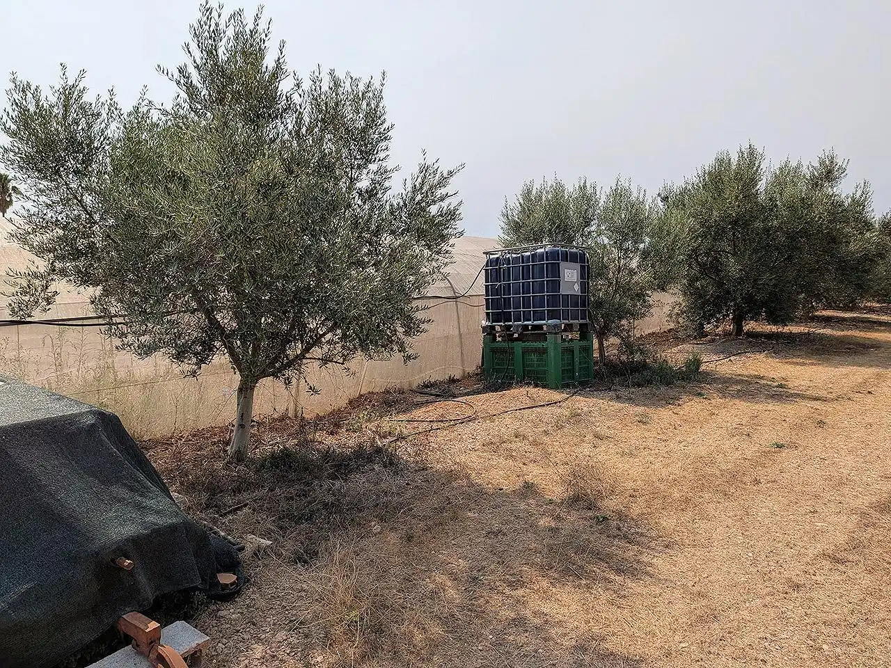 Finca rústica en venda en Vinaròs amb Terrassa i Piscina