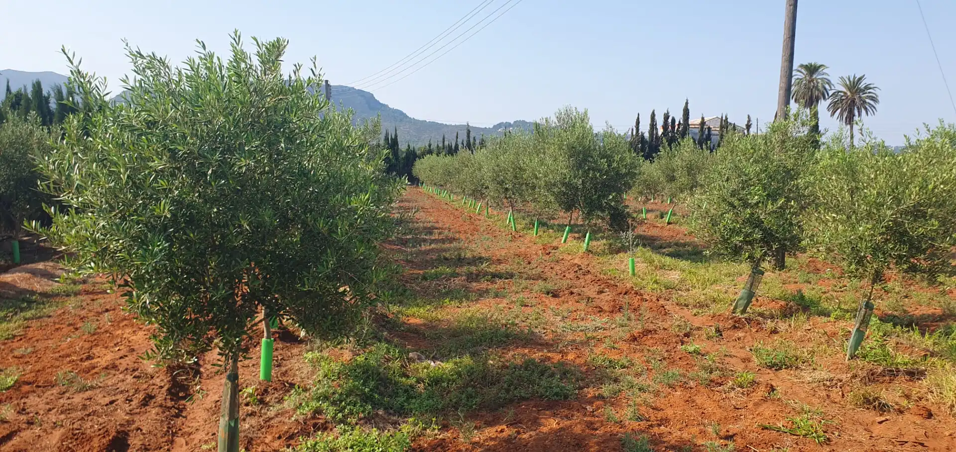 Country house for sale in Camí de les Basses, imagen 3