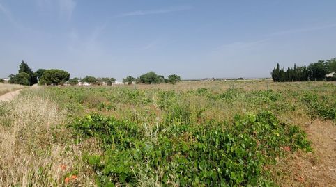 Finca Rúst. en venta en Carrion De Calatrava., imagen 3