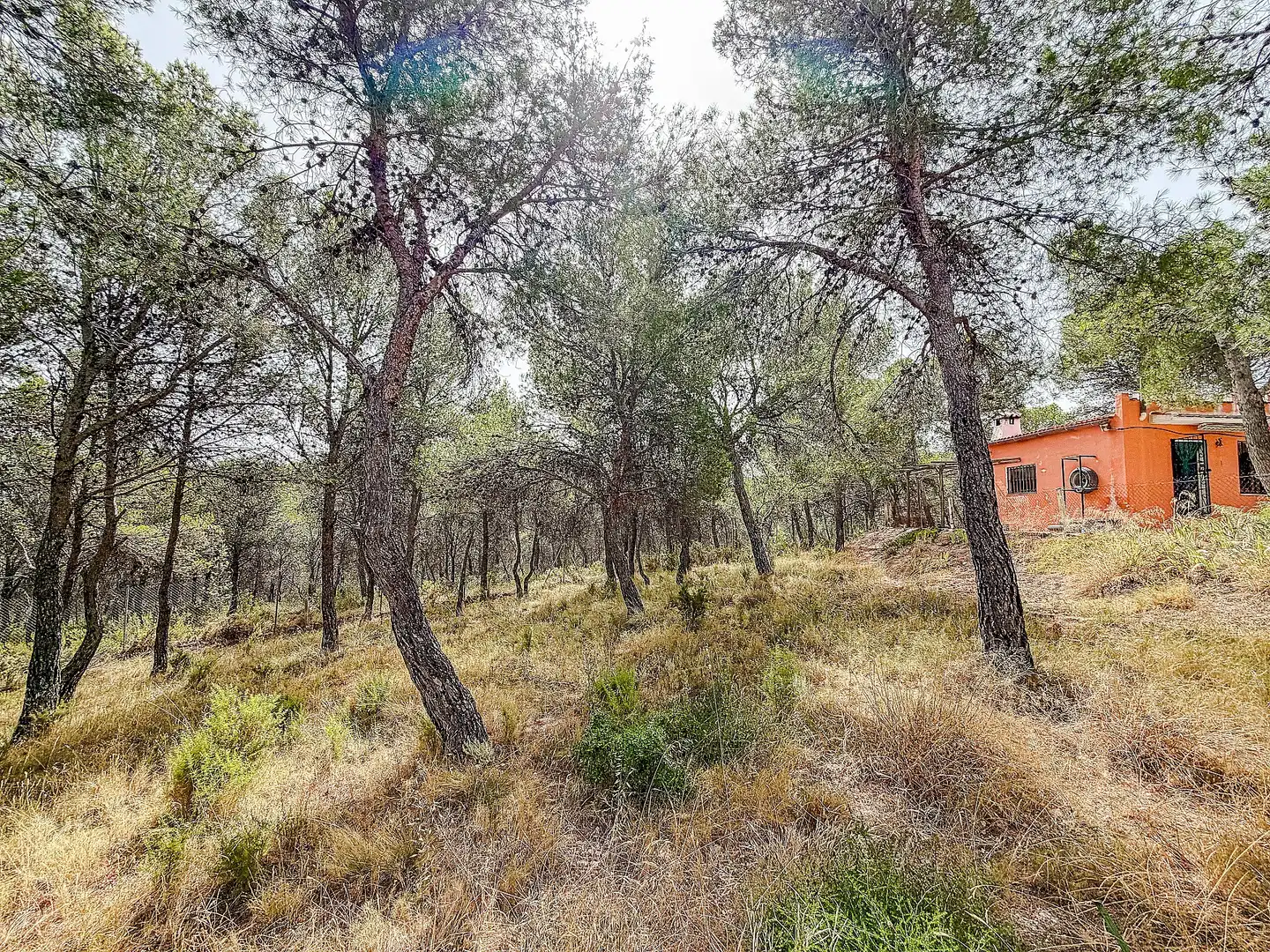 Maison rustique à vendre à Castalla, imagen 25
