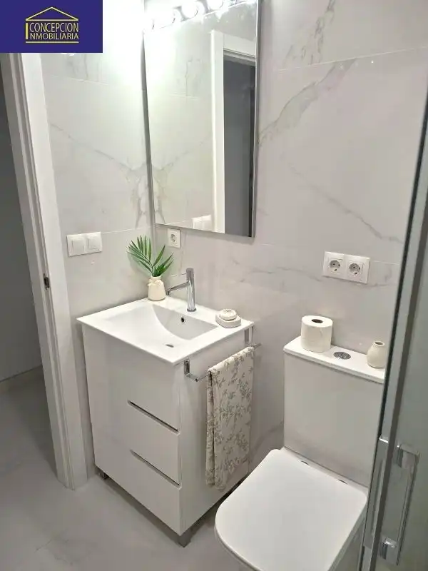 Bathroom of Apartments for rent in Córdoba  with Air Conditioner, Heating and Furnished