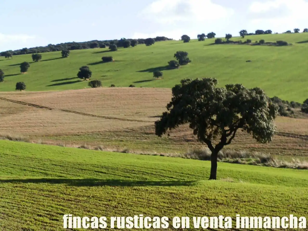 Terreny rústic en venda a Viso del Marqués, imagen 2