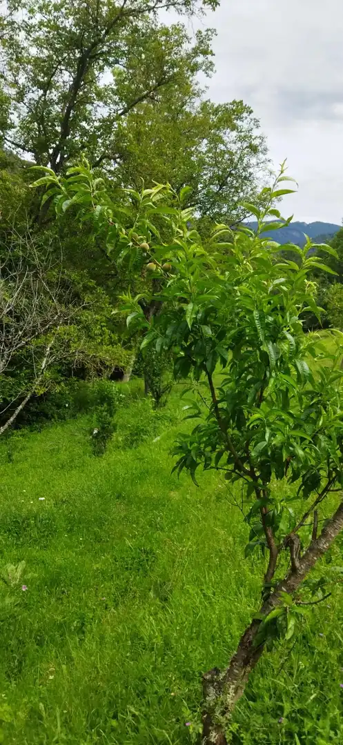 Casa o xalet en venda en Pesaguero amb Calefacció, Terrassa i Moblat