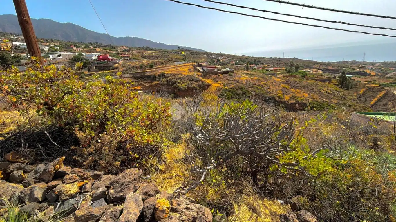Rural land for sale in Arafo, imagen 17