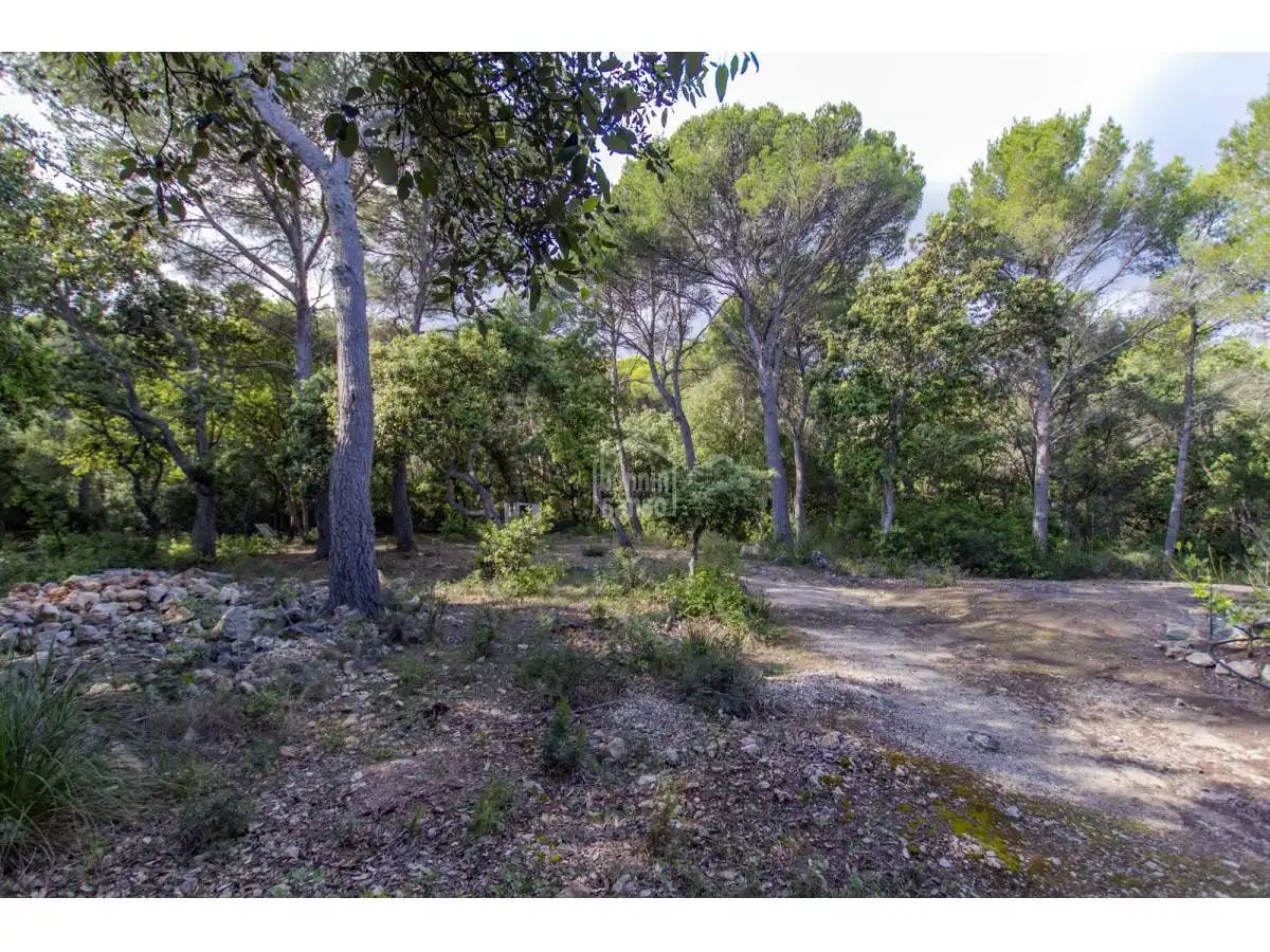 Casa rústica con piscina en venta en Es Mercadal poble, imagen 45