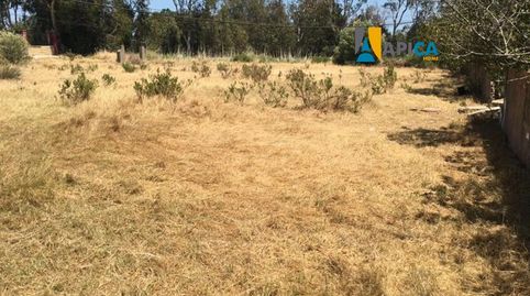 Foto 3 de Terreno en venta en El Zabal - Santa Margarita, La Línea de la Concepción