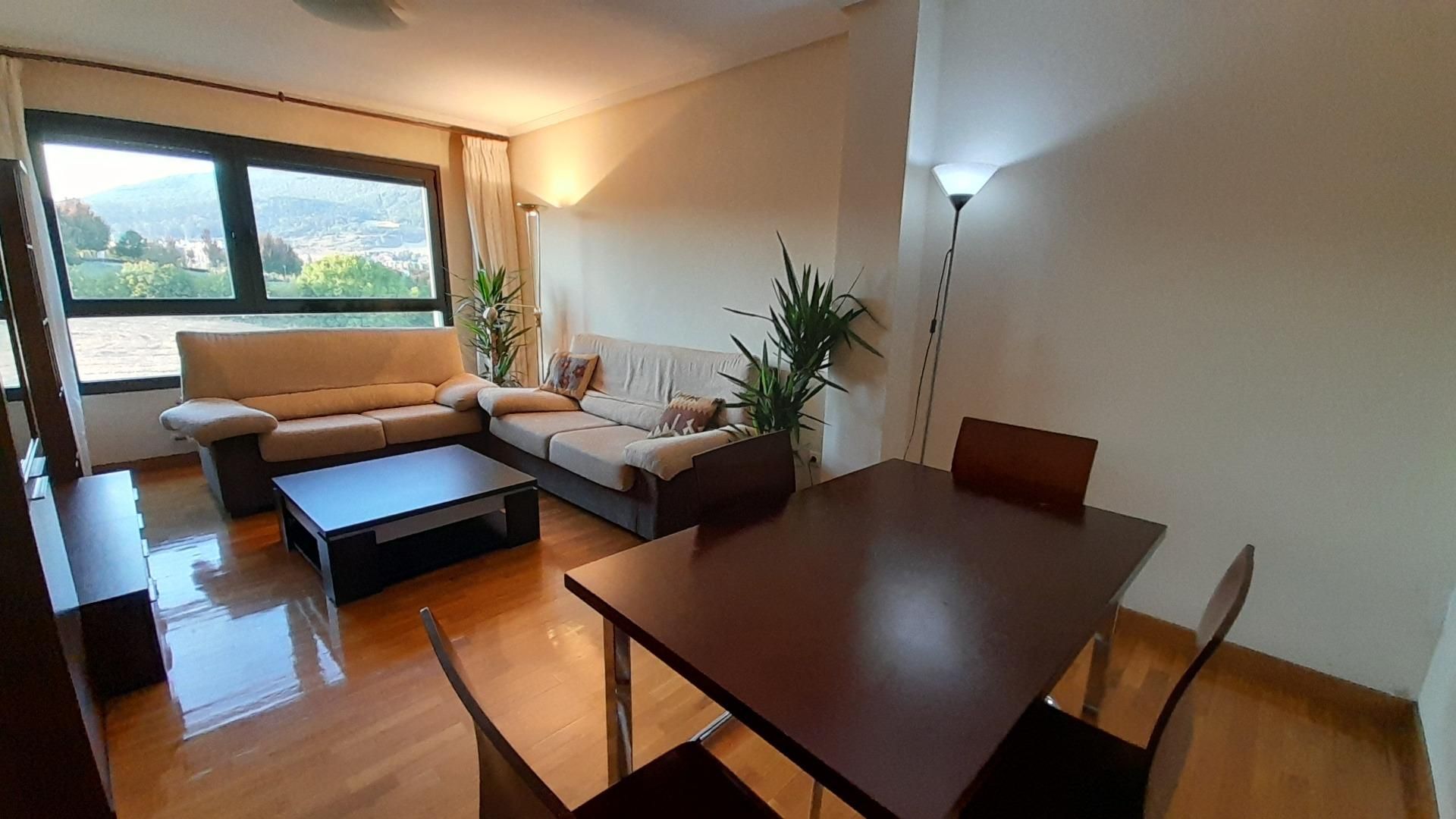 Flat for sale in Calle Francisco Javier Saez de Oiza, Buztintxuri