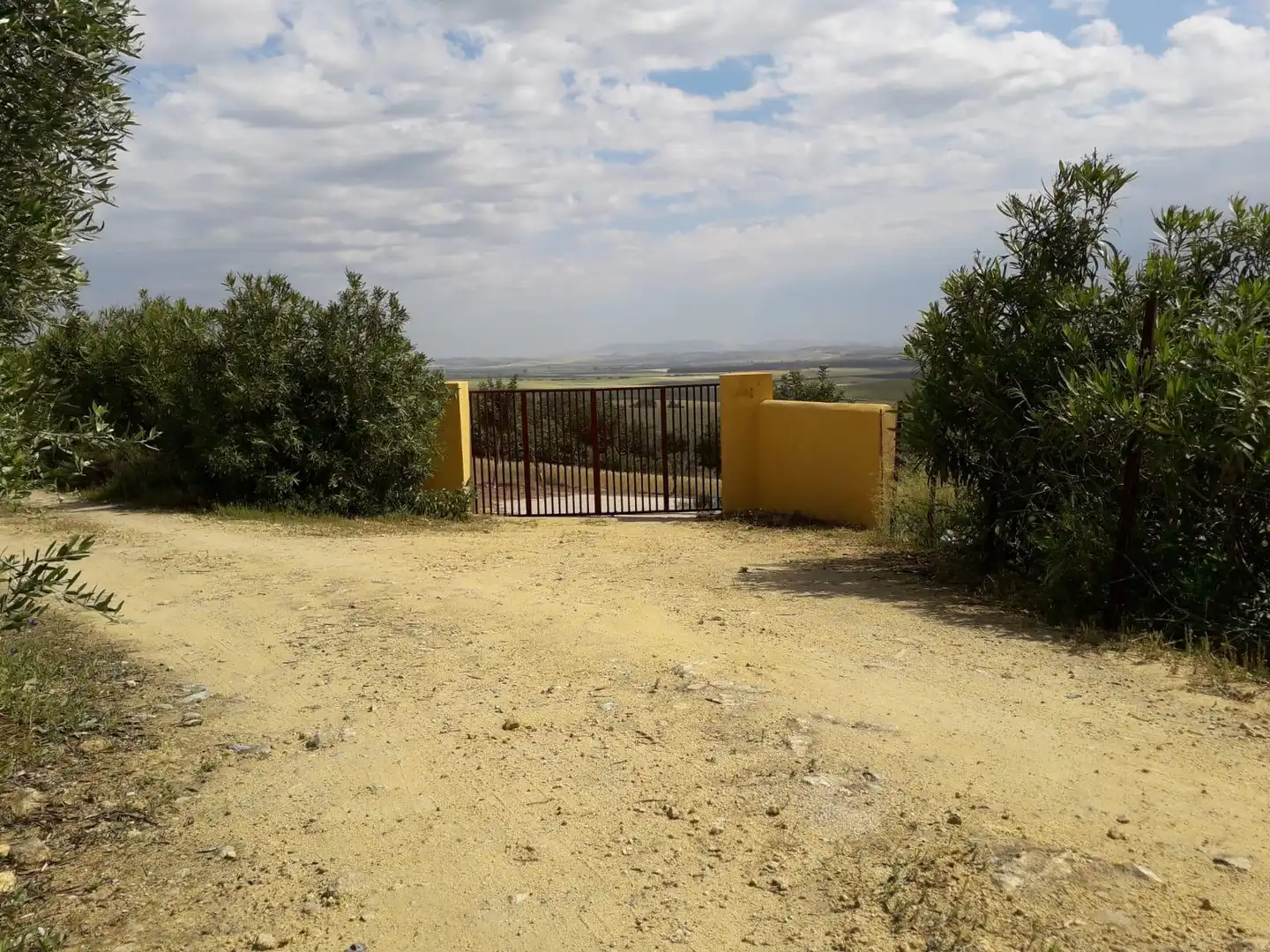 House for sale in Bornos, imagen 18