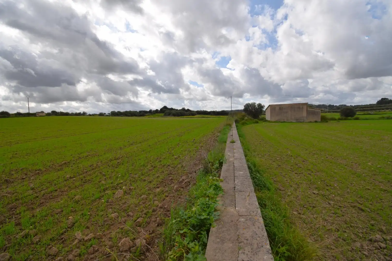 Residential land for sale in Muro, imagen 16