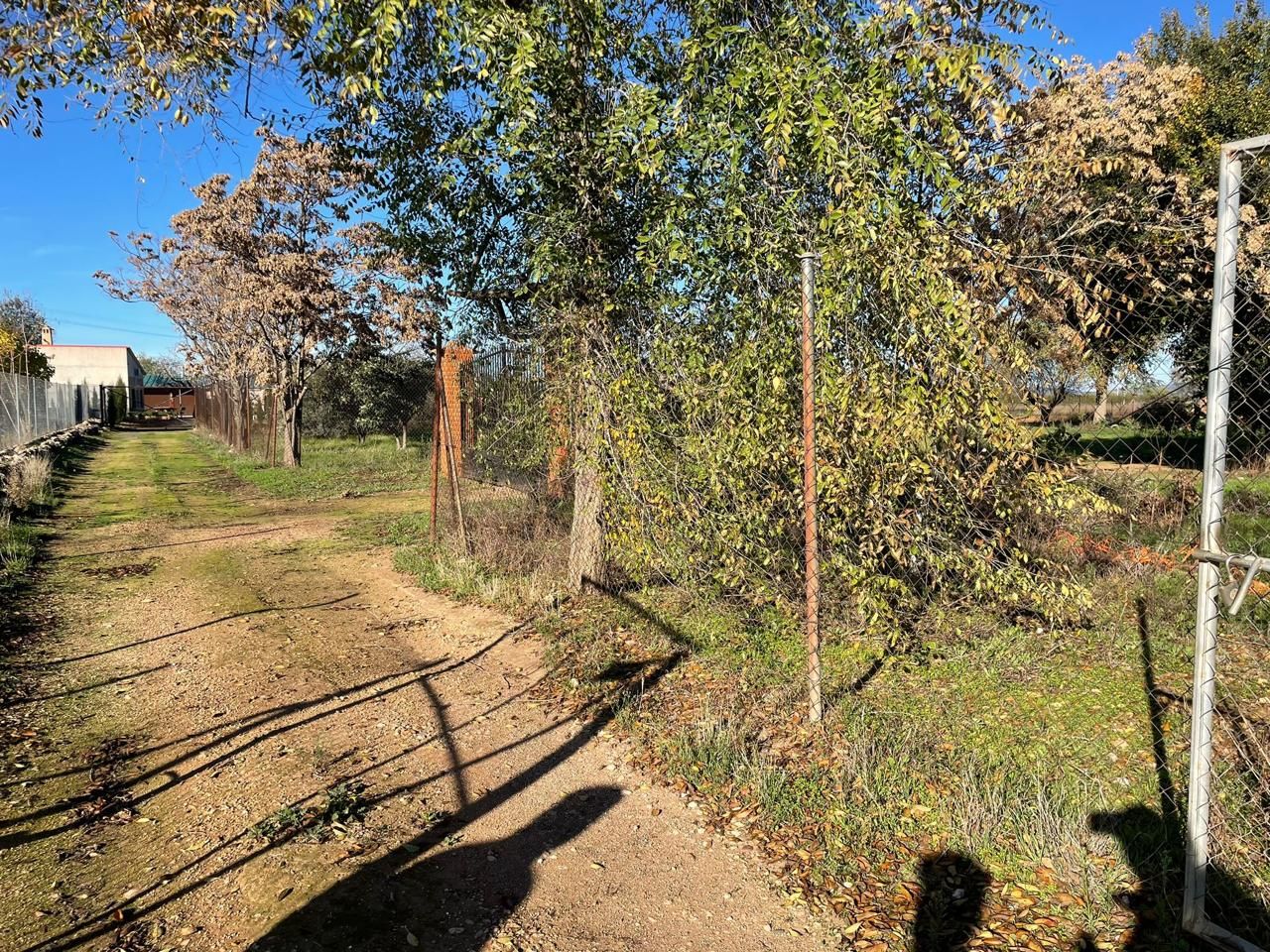 Finca rústica en venta en Argamasilla de Calatrava con Piscina