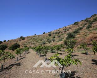 Finca rústica en venda en Totalán