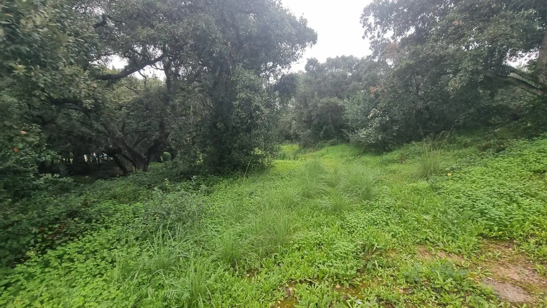 Terreno residencial en venta en San José - San Bernardo, imagen 2