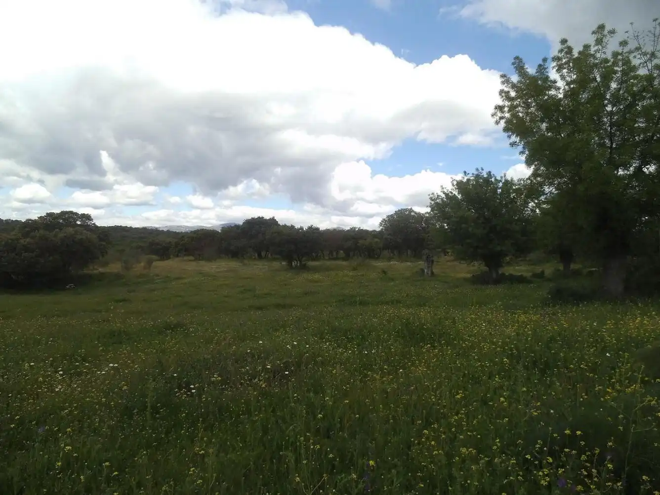 Residencial en venda en Valdemorillo