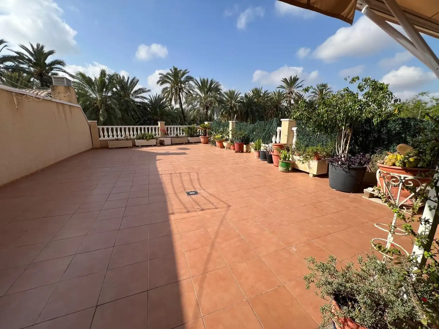 Terrace of Flat for sale in Elche / Elx  with Terrace